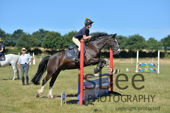 dsb_4580s