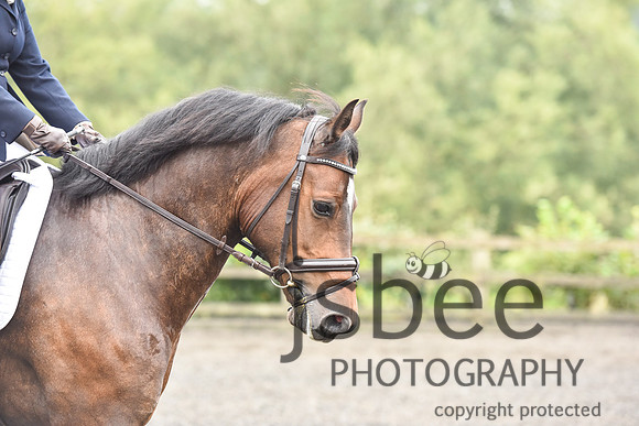 slb_8665s