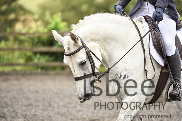 slb_8765s