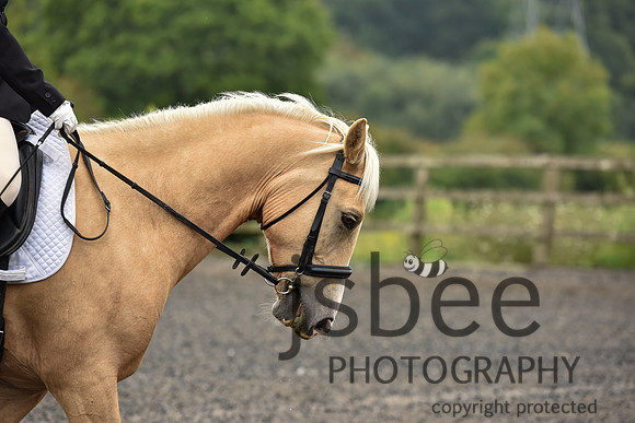 slb_9681s