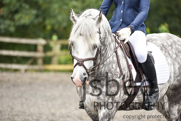 slb_8930s