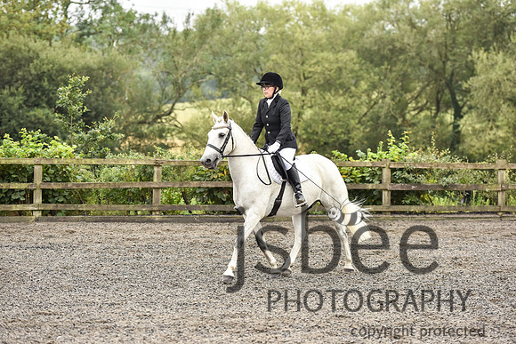 slb_8956s
