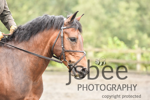 slb_8982s