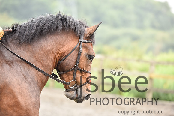 slb_8983s
