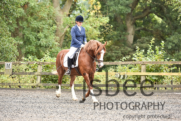 slb_9313s