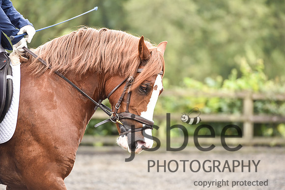 slb_9315s