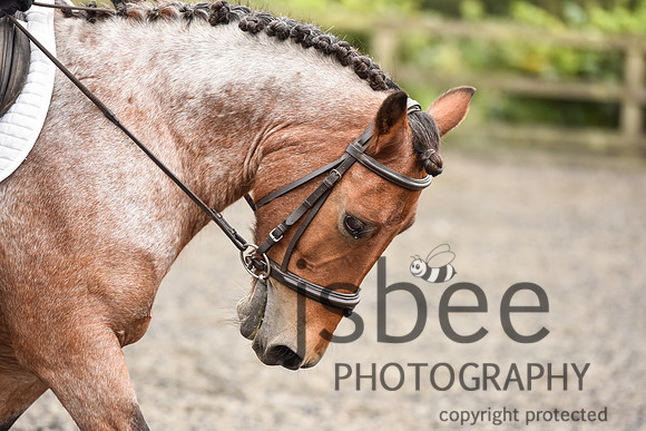 slb_9446s