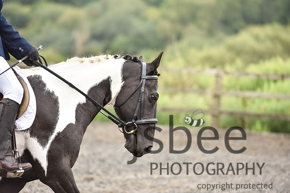 slb_9487s