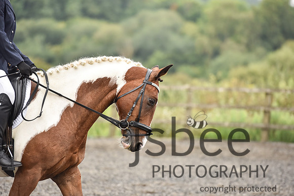 slb_9524s