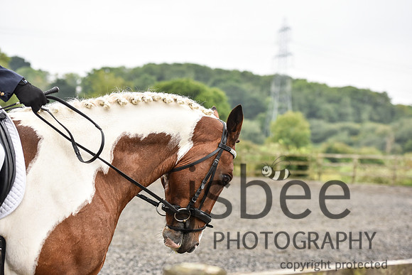 slb_9532s