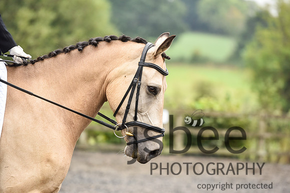 slb_9631s