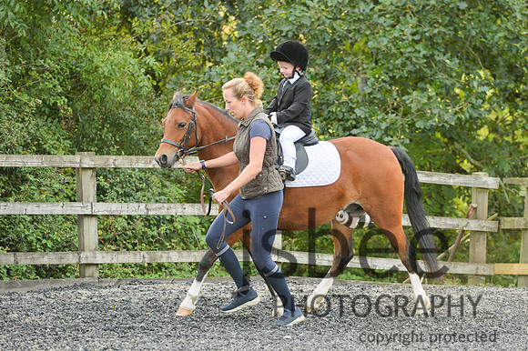 dsb_9766s