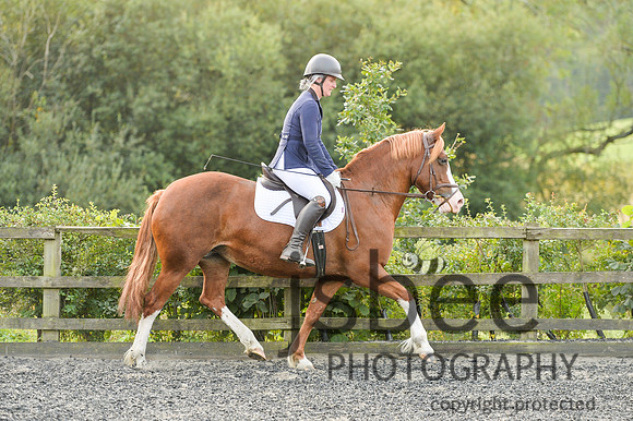 dsb_9918s