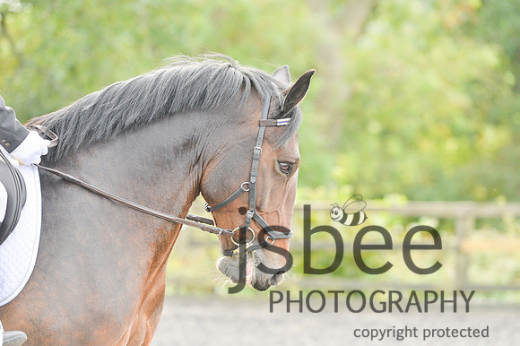 dsb_0024s