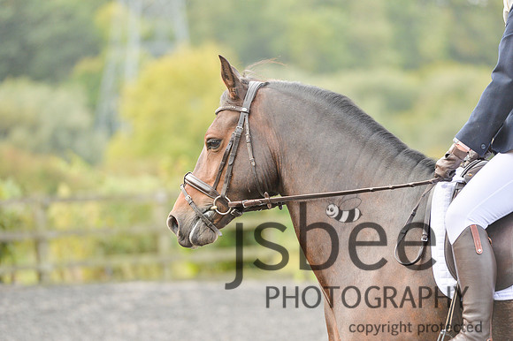 dsb_0187s