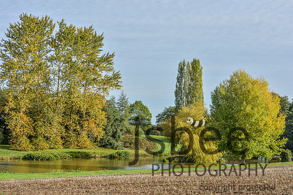 DSB_1264-28