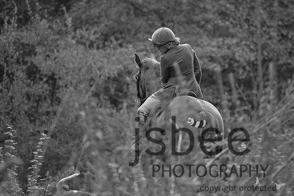 DSB_9619-16