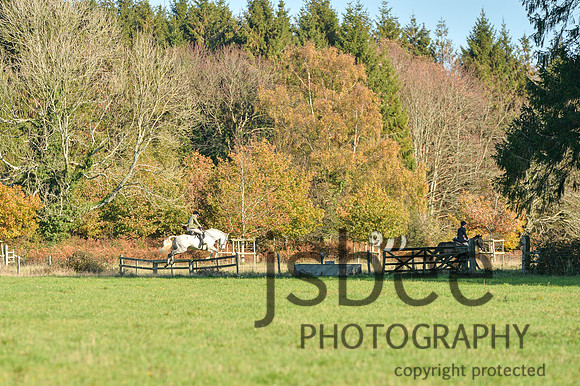 DSB_3186-101