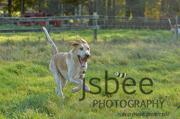 DSB_3307-167