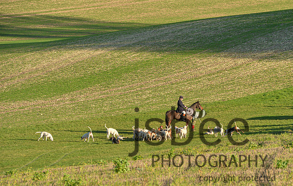 DSB_4291-56