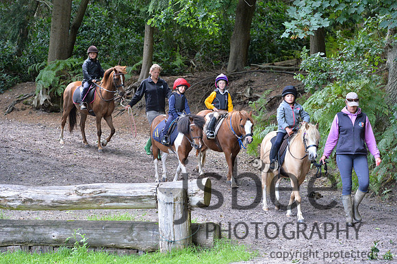 DSB_1435-164