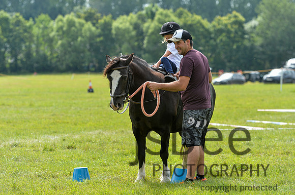 DSB_1617-36