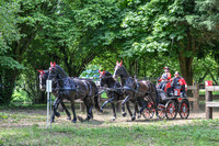 DSC_6557-11