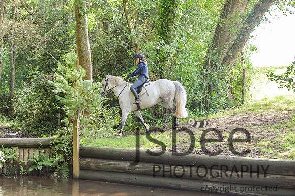 dsb_3086s