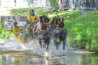 DSC_6575-17
