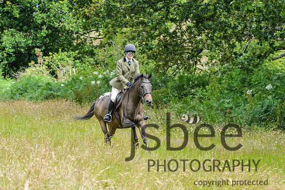 DSB_0308-54