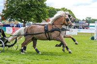 JOE_0449