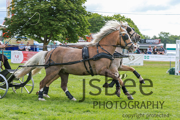 JOE_0449