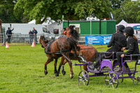 JOE_0437