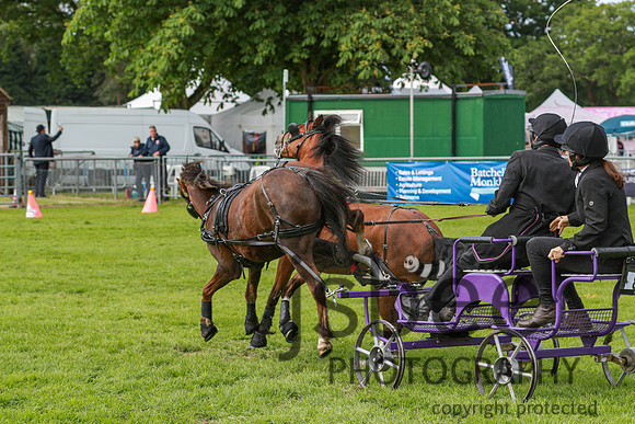 JOE_0437