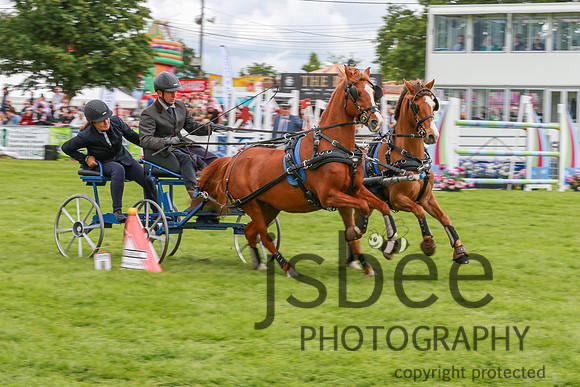 JOE_0664