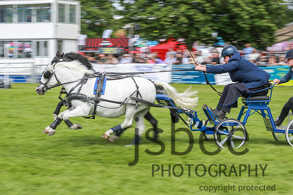 JOE_0894