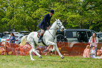 DSC_6293-47