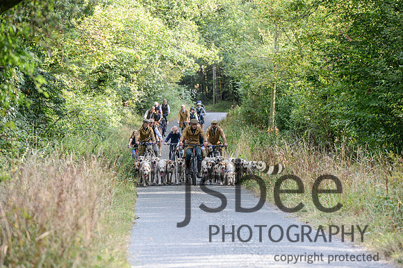 DSC_5280-35