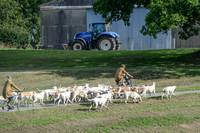 DSC_4147-36