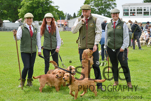 DSC_8578-78