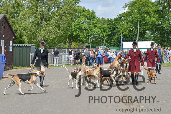 DSC_0074-249