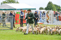 Parade Of Foot Packs