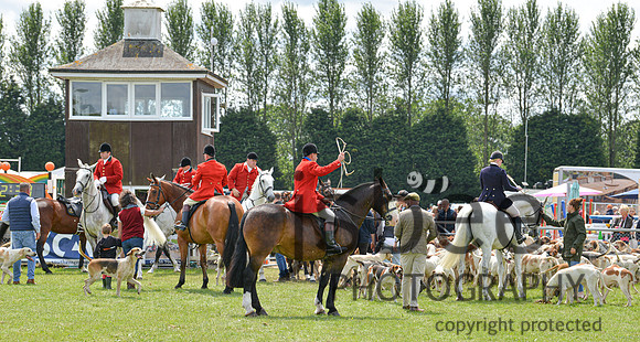 DSC_9886-130