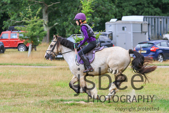 JOE_2538