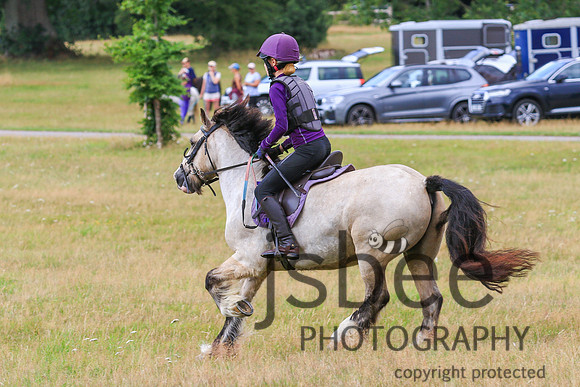 JOE_2541