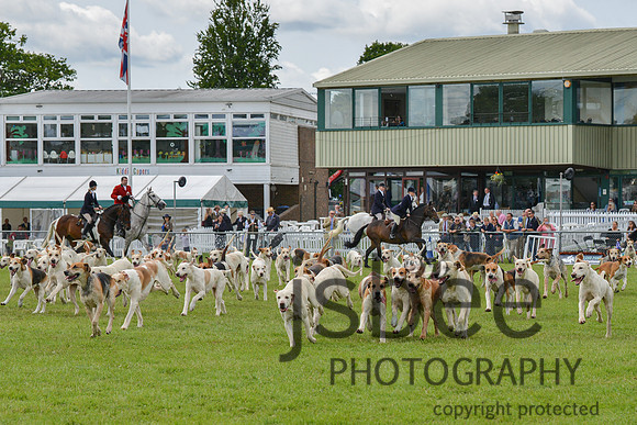 DSC_9954-176