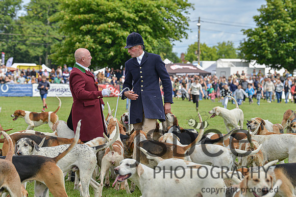 DSC_9839-96
