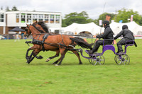 Scurry Championship