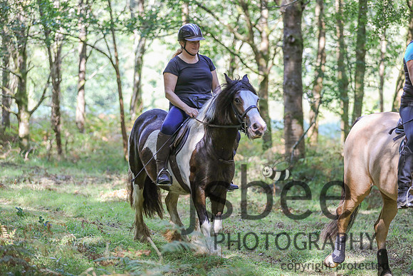 JOB_0373