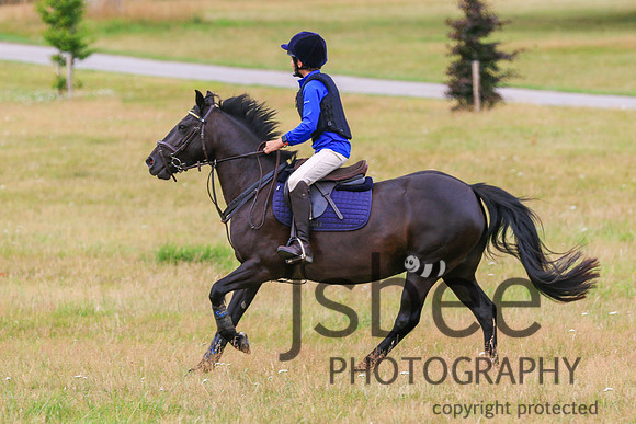 JOE_2454